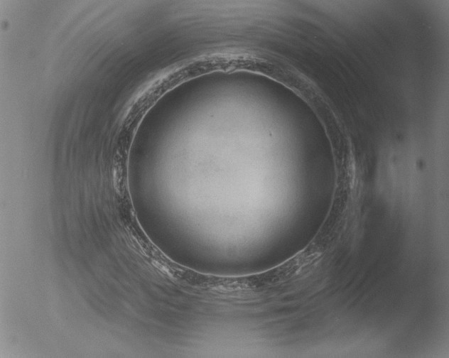 X0000052940823200507081142