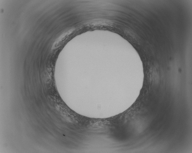 X0000052940824200507081142