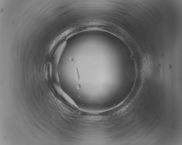 X0000052940825200507081142