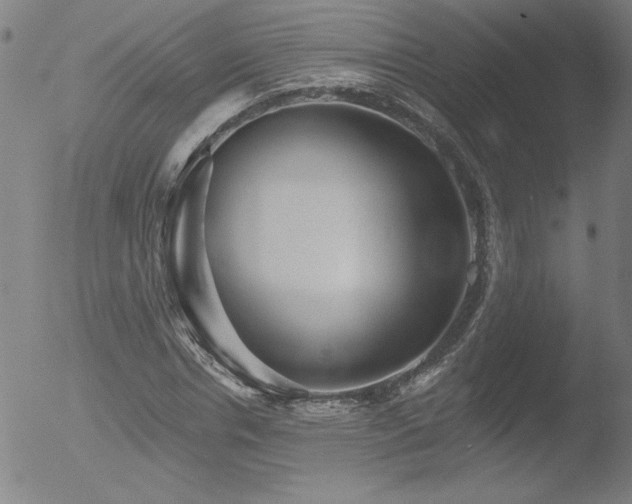 X0000052940826200507081142