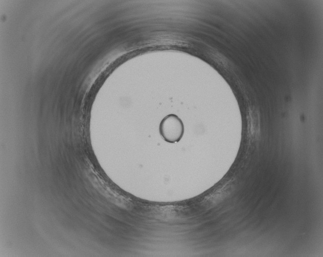 X0000052940828200507081142