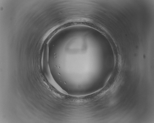 X0000052940829200507081142