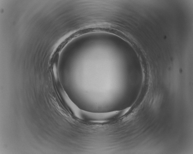 X0000052940830200507081142