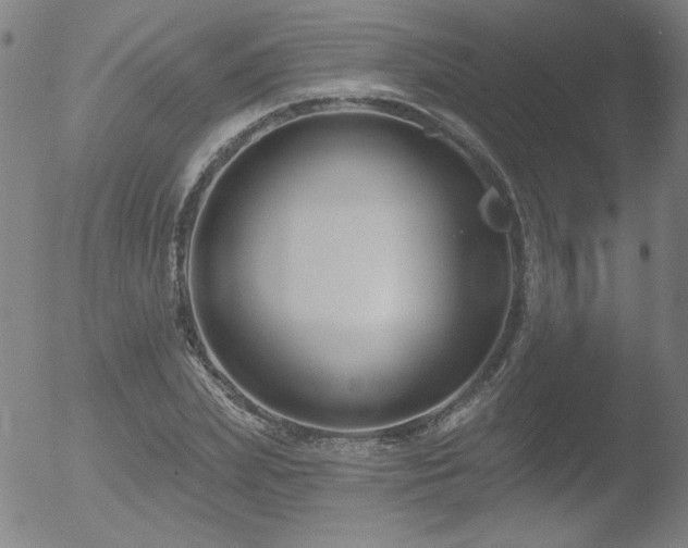 X0000052940831200507081142