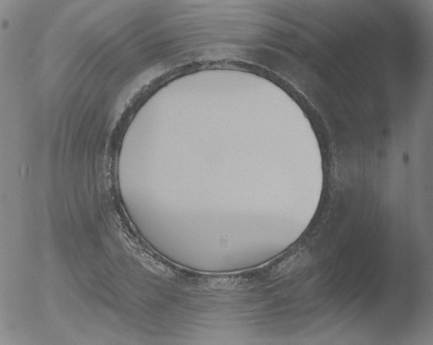 X0000052940832200507081142