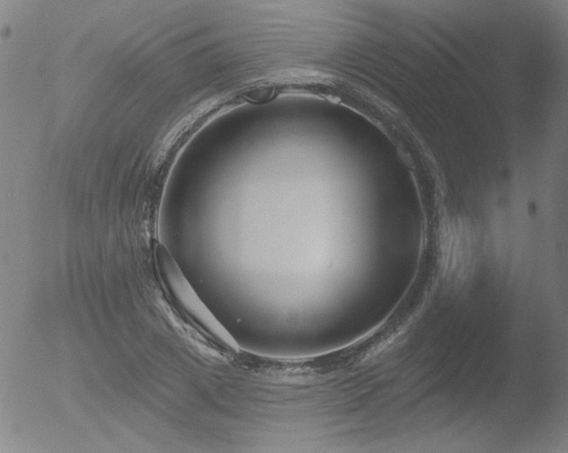 X0000052940833200507081142