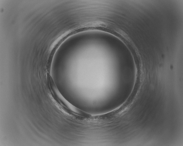 X0000052940834200507081142