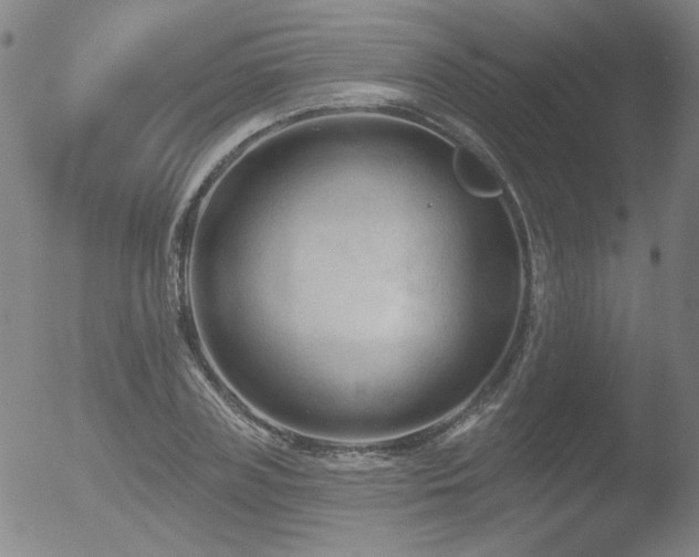 X0000052940835200507081142