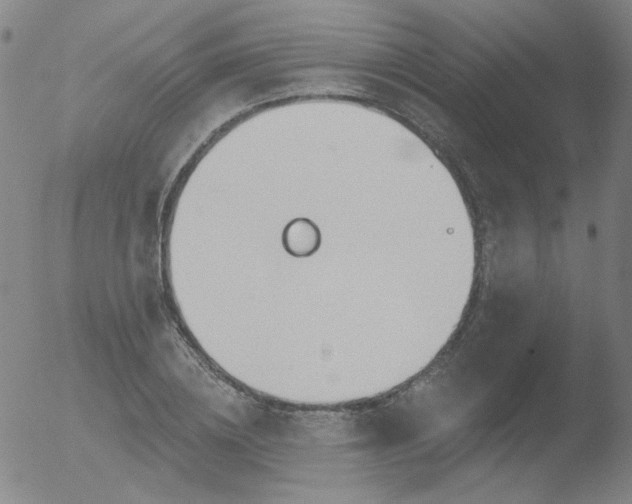 X0000052940836200507081142