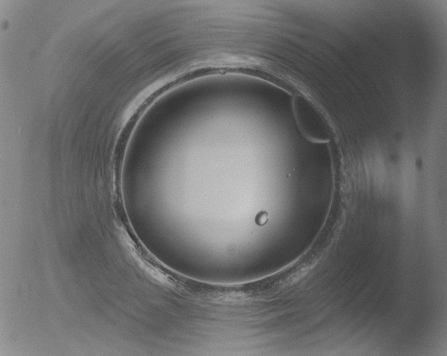 X0000052940837200507081142