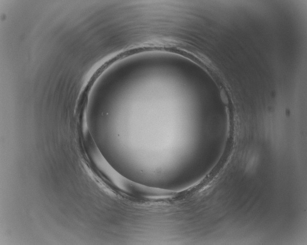 X0000052940838200507081142