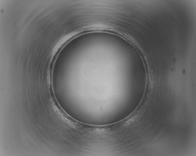 X0000052940839200507081142