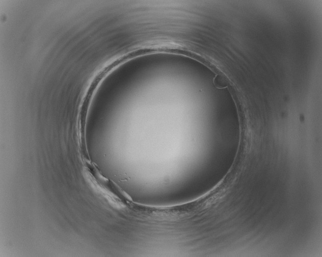 X0000052940840200507081142