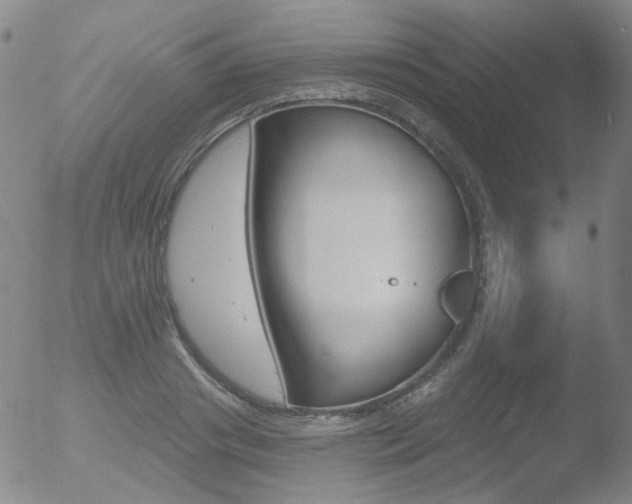 X0000052940841200507081142