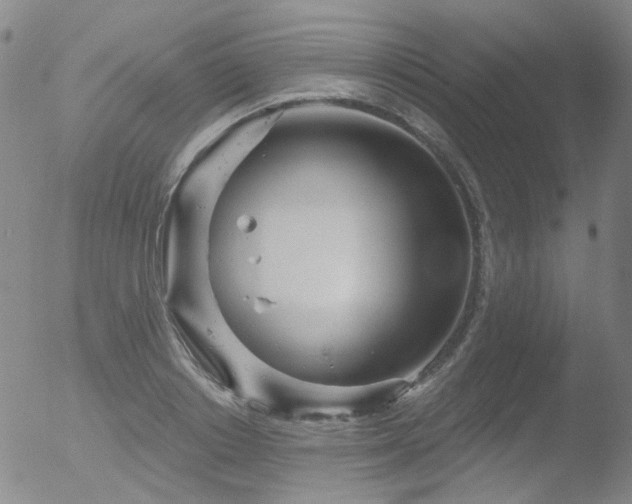 X0000052940842200507081142