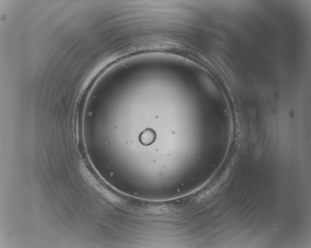 X0000052940843200507081142