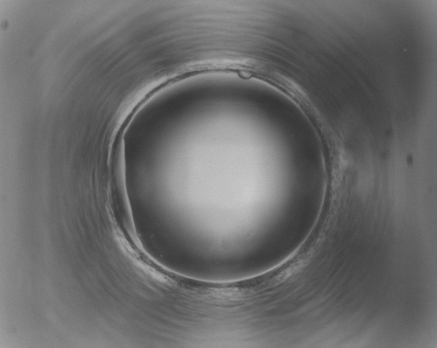 X0000052940844200507081142