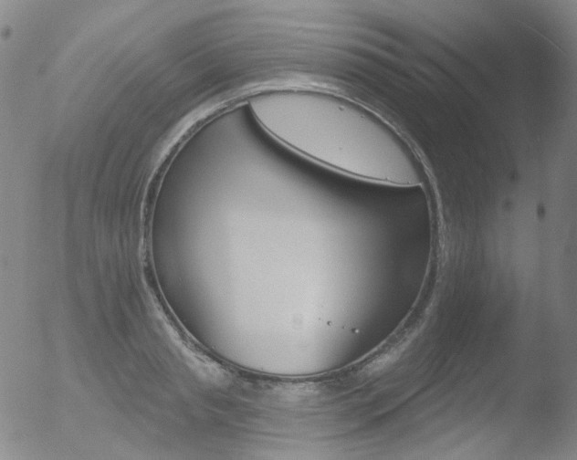 X0000052940845200507081142