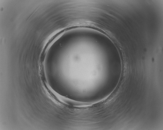 X0000052940846200507081142