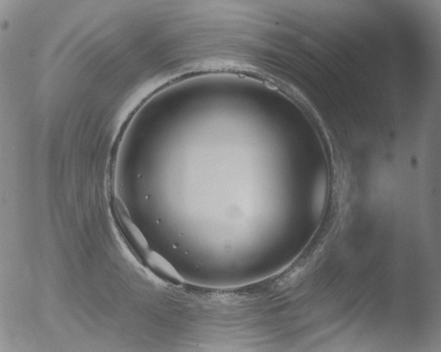 X0000052940847200507081142