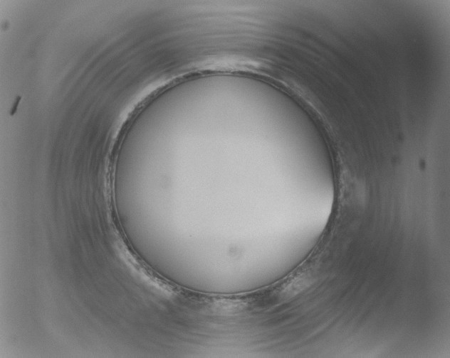 X0000052940848200507081142