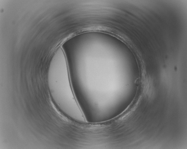 X0000052940849200507081142