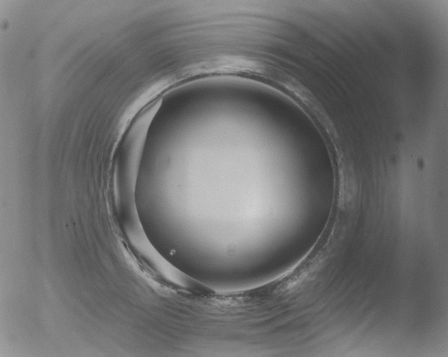 X0000052940850200507081142