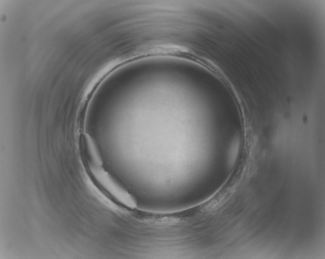 X0000052940851200507081142