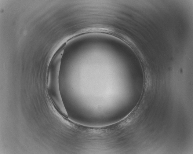 X0000052940852200507081142