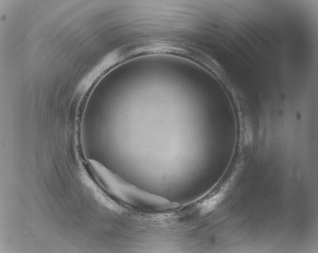 X0000052940853200507081142