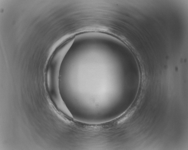 X0000052940854200507081142