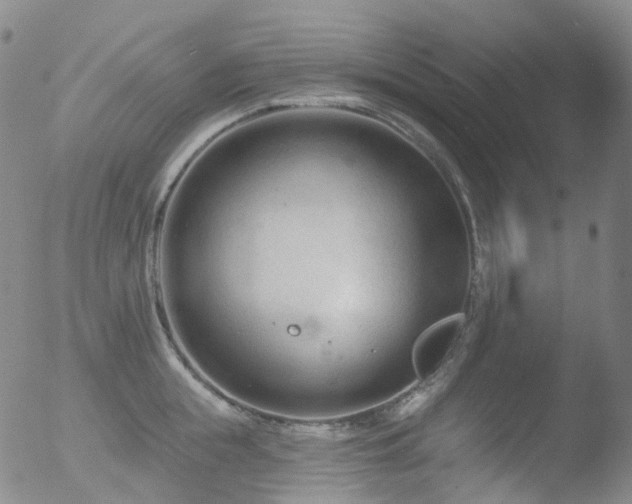 X0000052940855200507081142