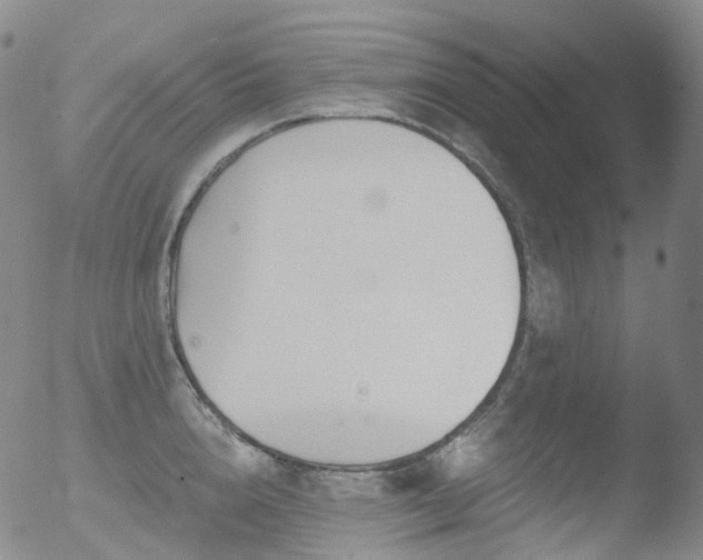 X0000052940856200507081142