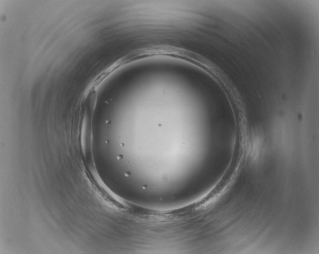 X0000052940857200507081142