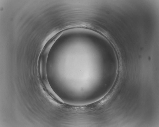 X0000052940858200507081142