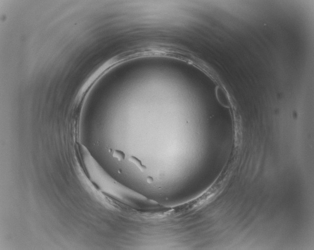 X0000052940859200507081142