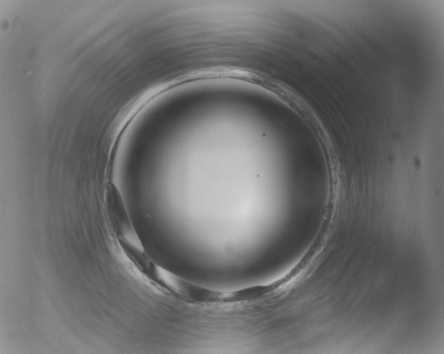 X0000052940860200507081142