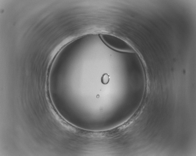 X0000052940861200507081142