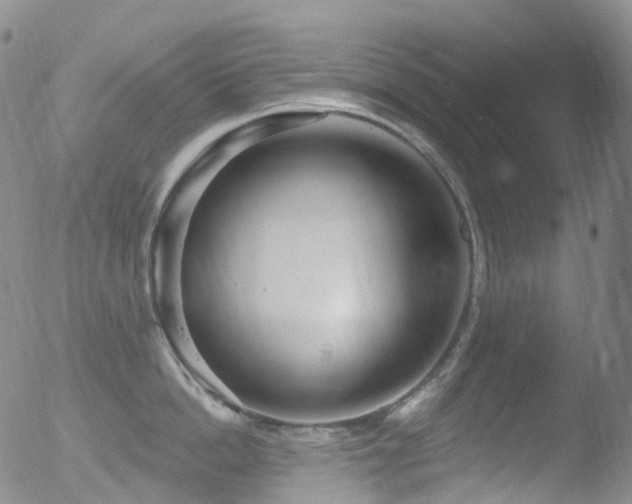 X0000052940862200507081142