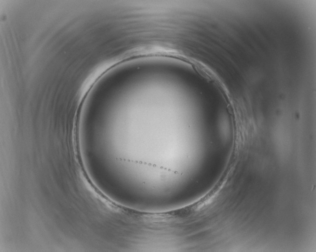 X0000052940863200507081142