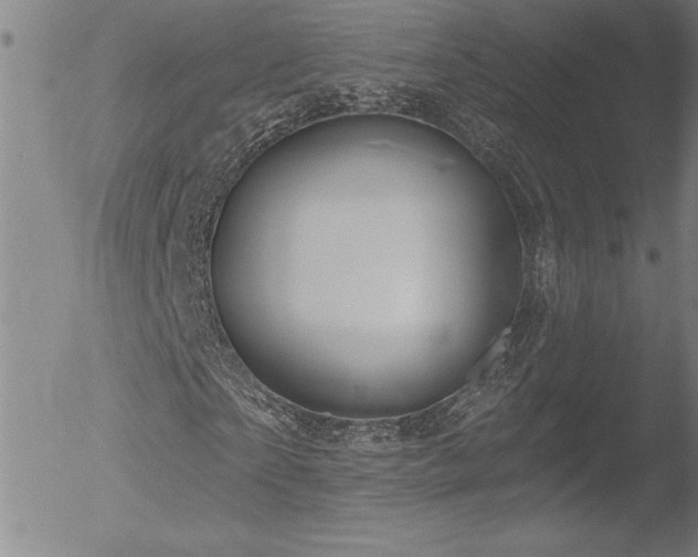 X0000052940865200507081141