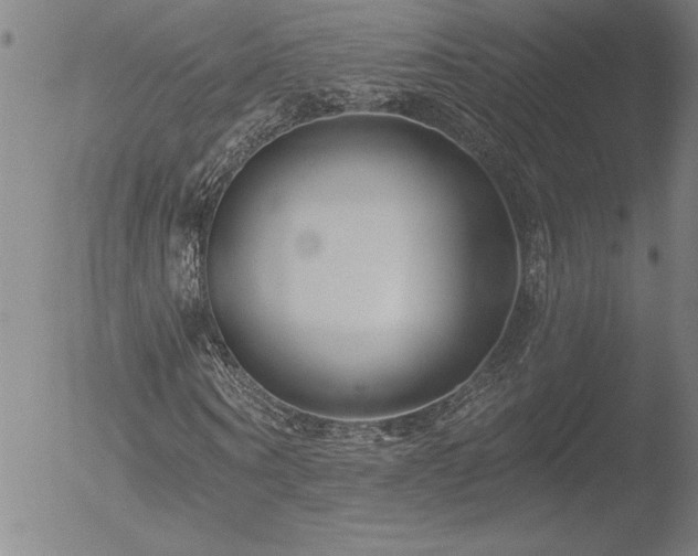 X0000052940866200507081141