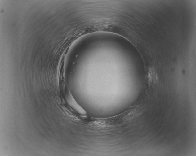 X0000052940867200507081141