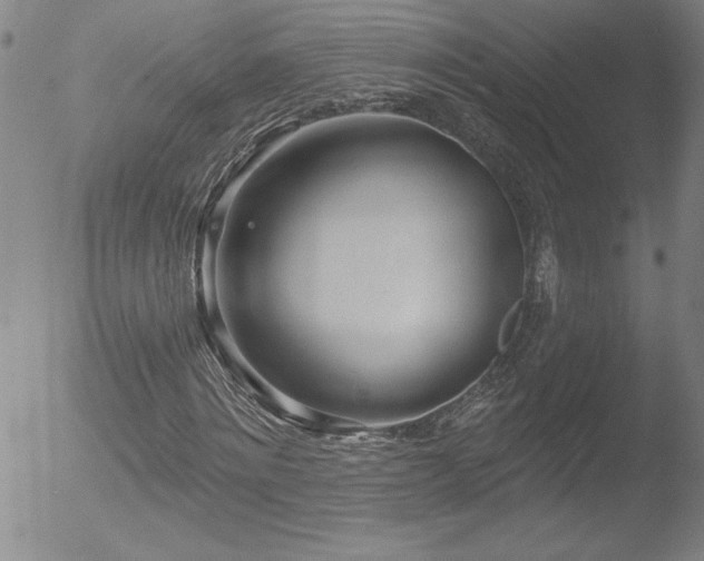 X0000052940868200507081141