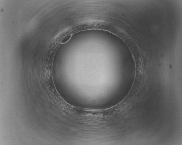 X0000052940869200507081141