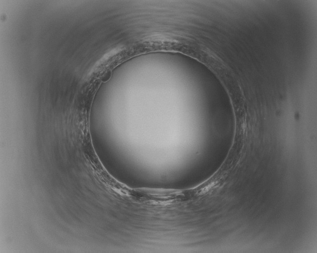 X0000052940870200507081141