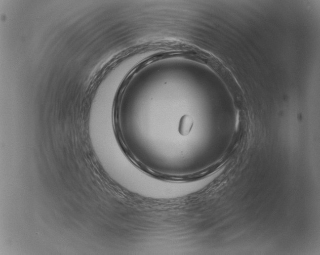 X0000052940871200507081141