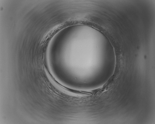 X0000052940872200507081141