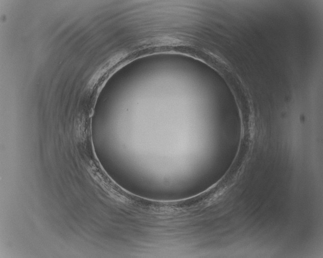 X0000052940873200507081141