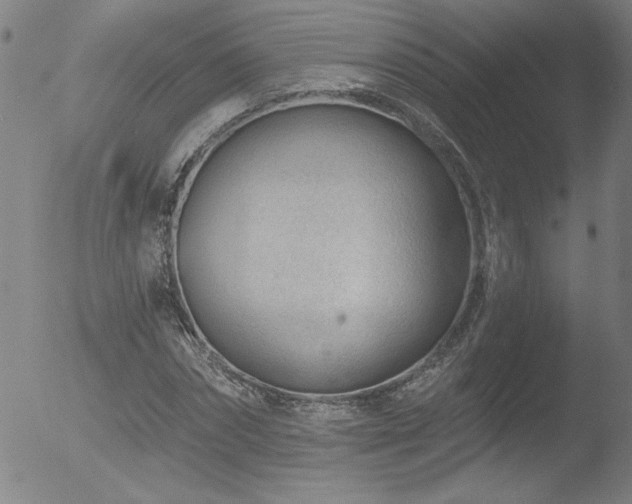 X0000052940874200507081141